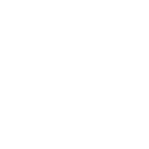 Transparent Thicker White Logo